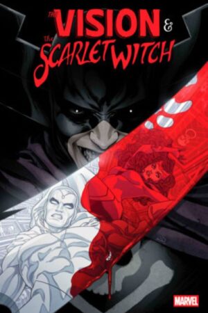 the vision & the scarlet witch 2