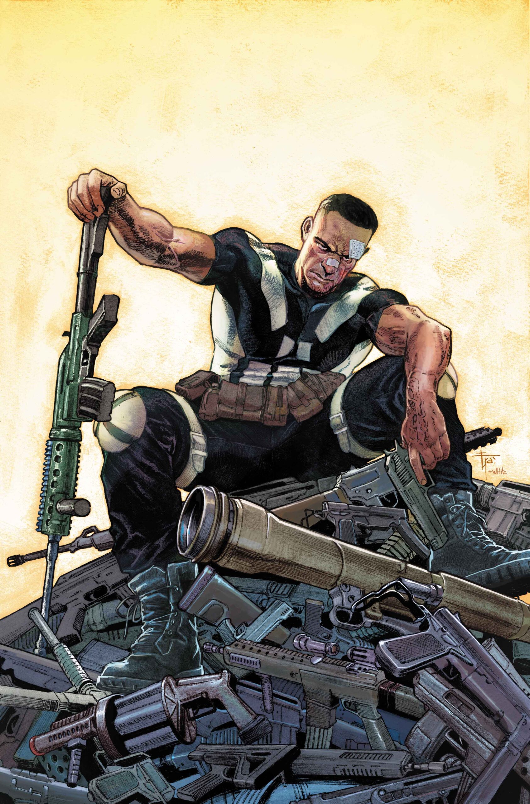 marvel knights punisher #2 variant marvel knights punisher #2 variant