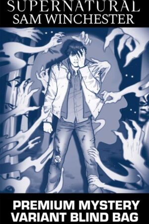 SUPERNATURAL SAM WINCHESTER #1 CVR H PREMIUM MYSTERY BLIND BAG VAR
