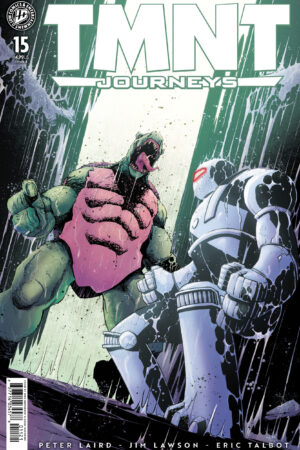 TMNT: Journeys #15 Variant B (Henderson)